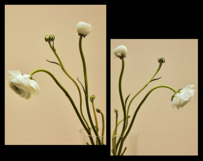 Product shoot with floral arrangement