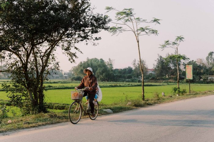 Travel photography, Ho Chi Minh City, Vietnam, rice fields