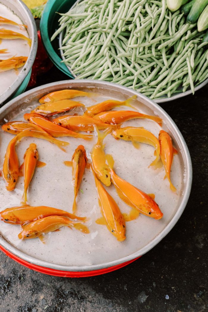 Travel photography, Ho Chi Minh City, Vietnam, fish vendor