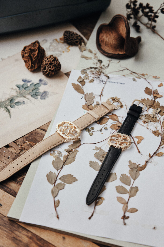 Detail of watches and dried plants, collaboration with The All Watch.